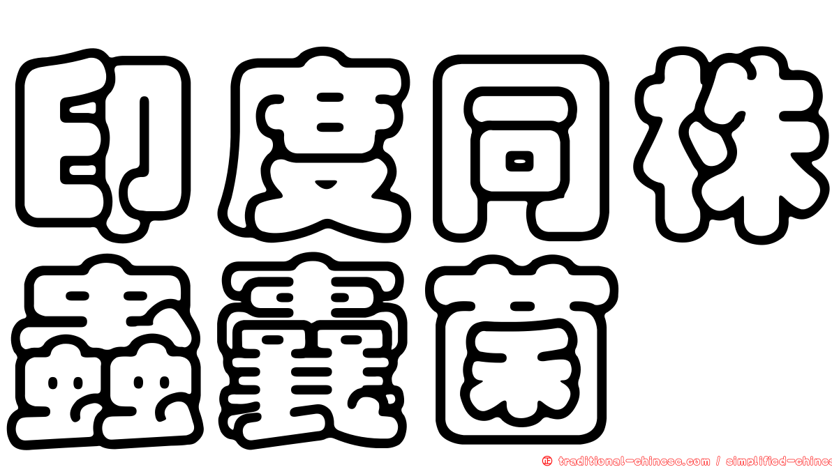 印度同株蟲囊菌