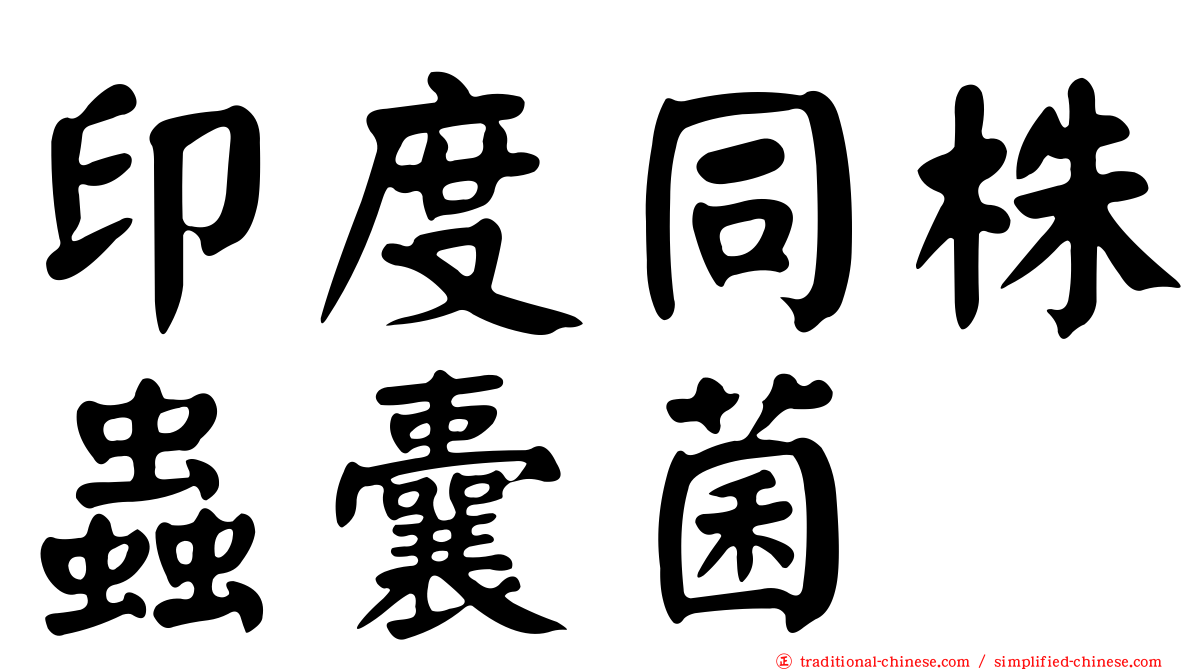 印度同株蟲囊菌