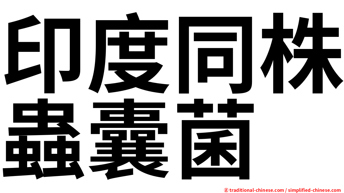印度同株蟲囊菌