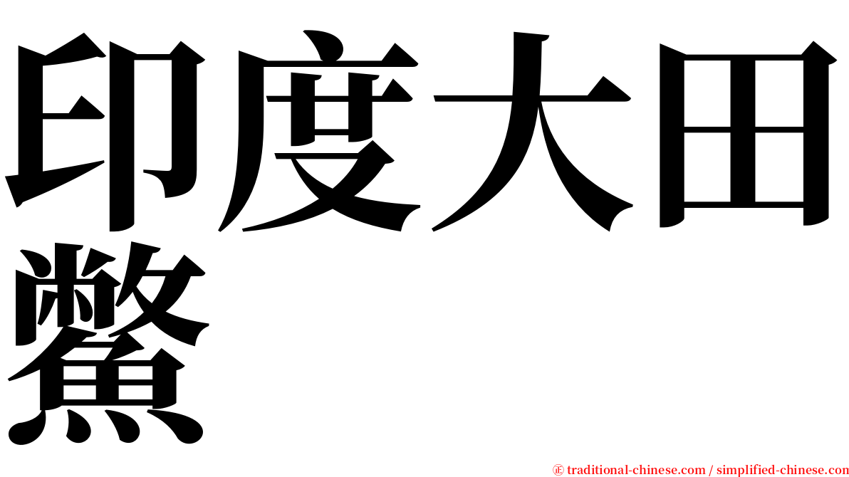 印度大田鱉 serif font