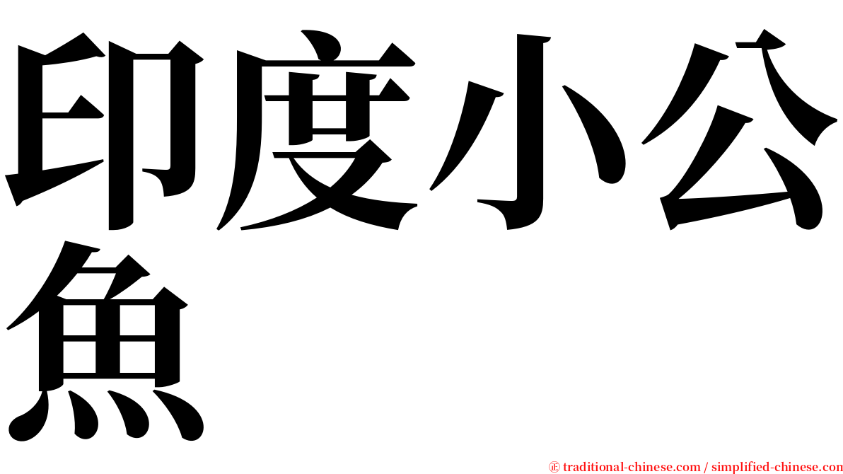 印度小公魚 serif font