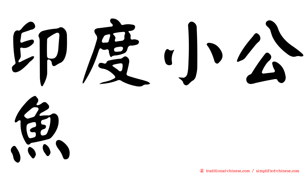 印度小公魚