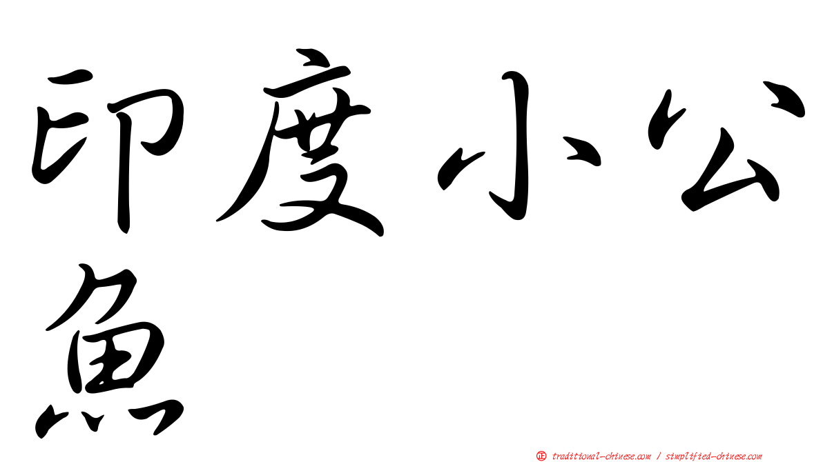 印度小公魚