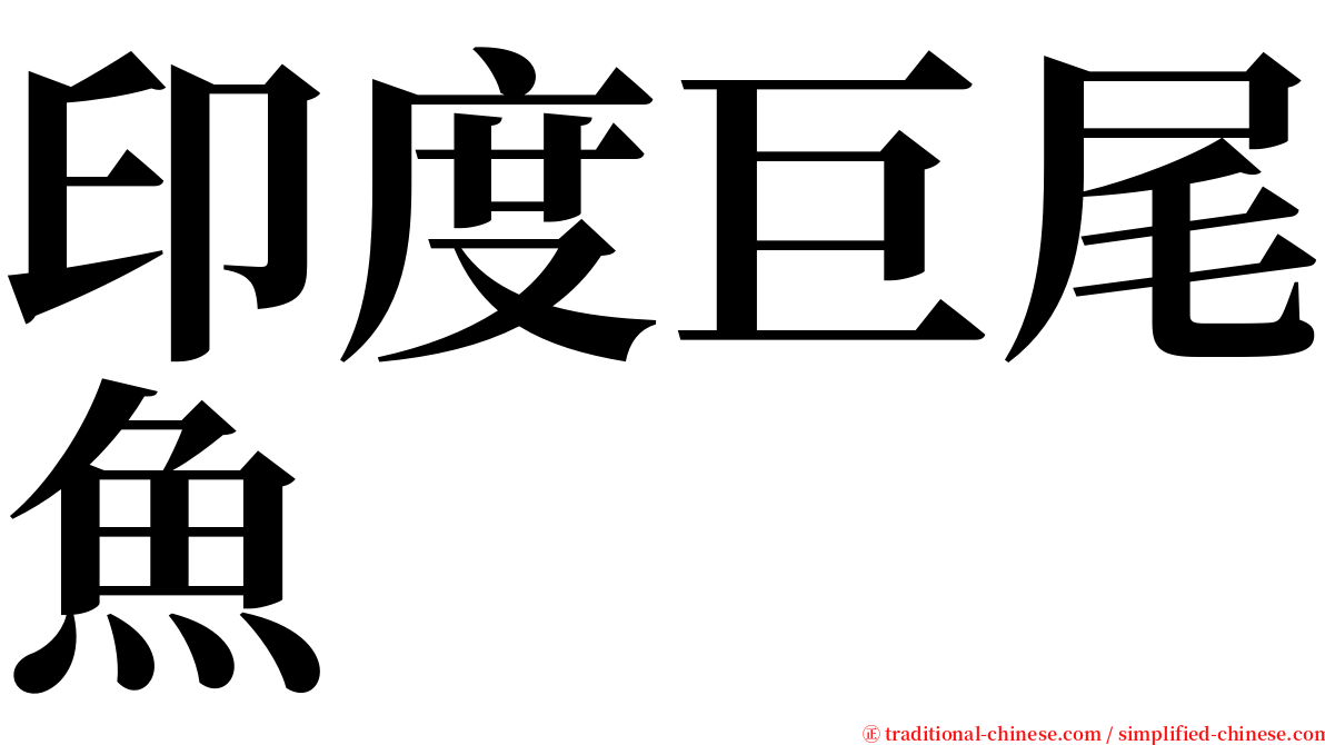 印度巨尾魚 serif font