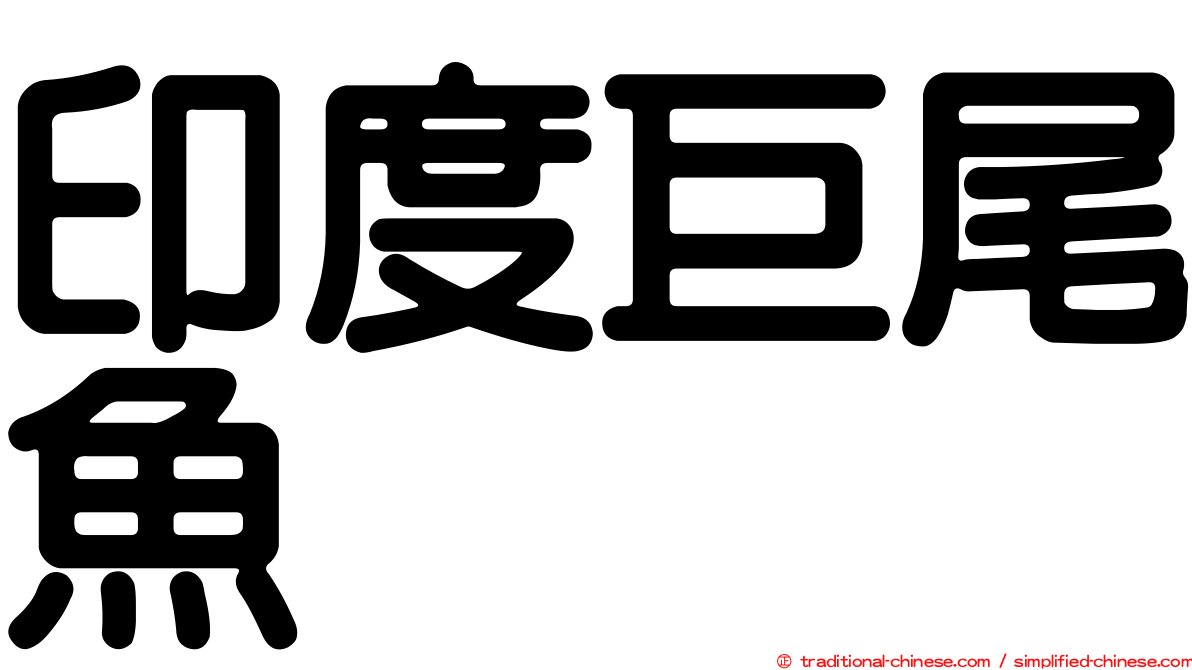 印度巨尾魚