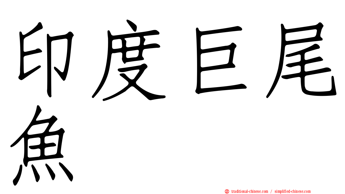 印度巨尾魚