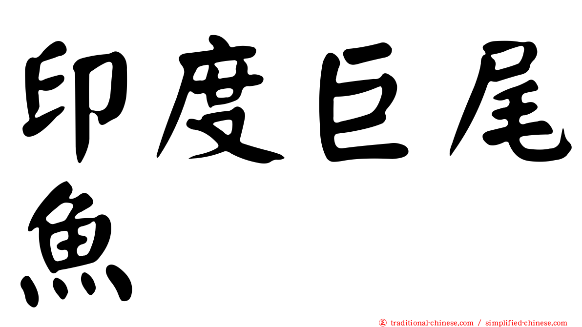 印度巨尾魚