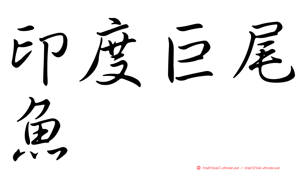 印度巨尾魚