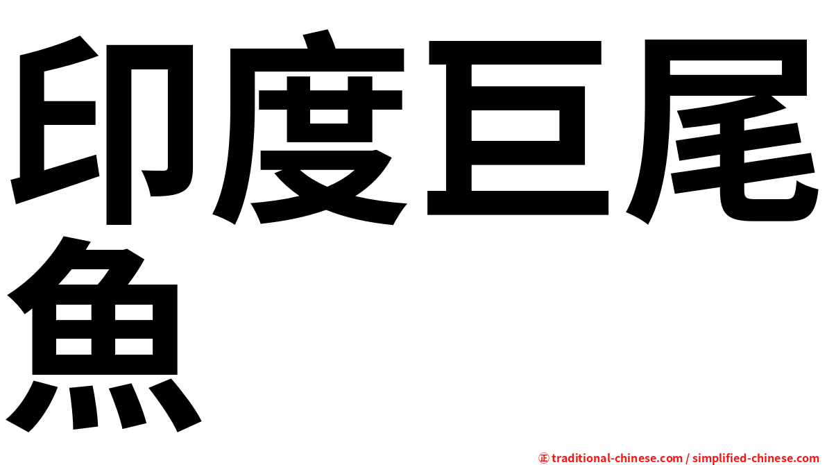 印度巨尾魚