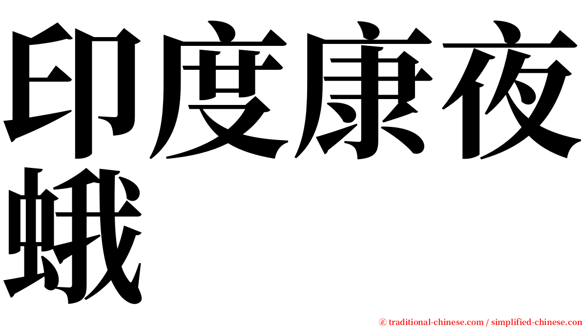 印度康夜蛾 serif font