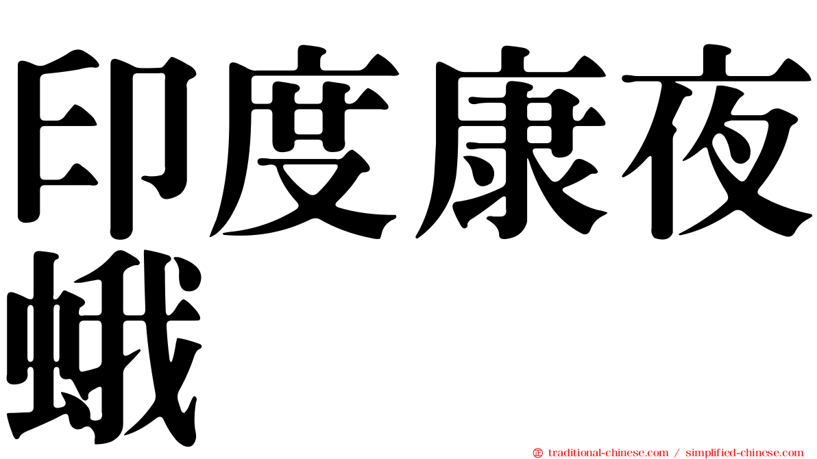 印度康夜蛾