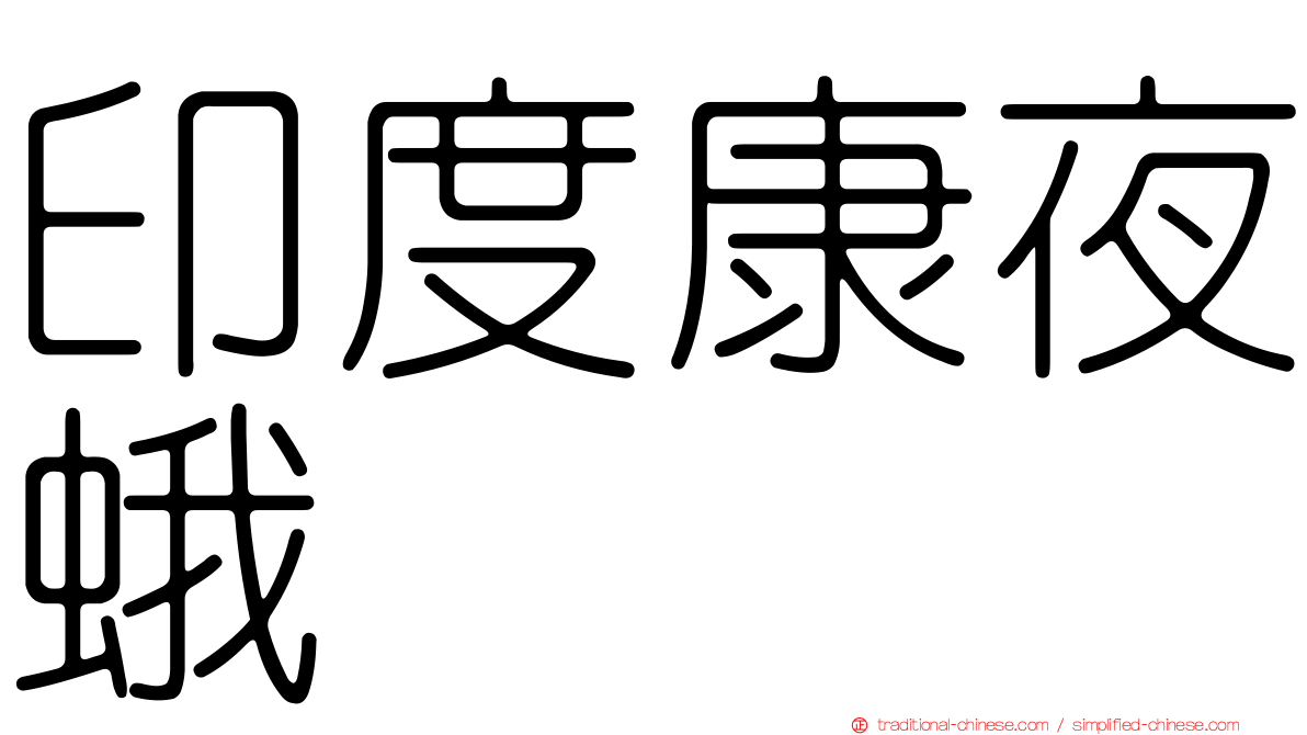 印度康夜蛾
