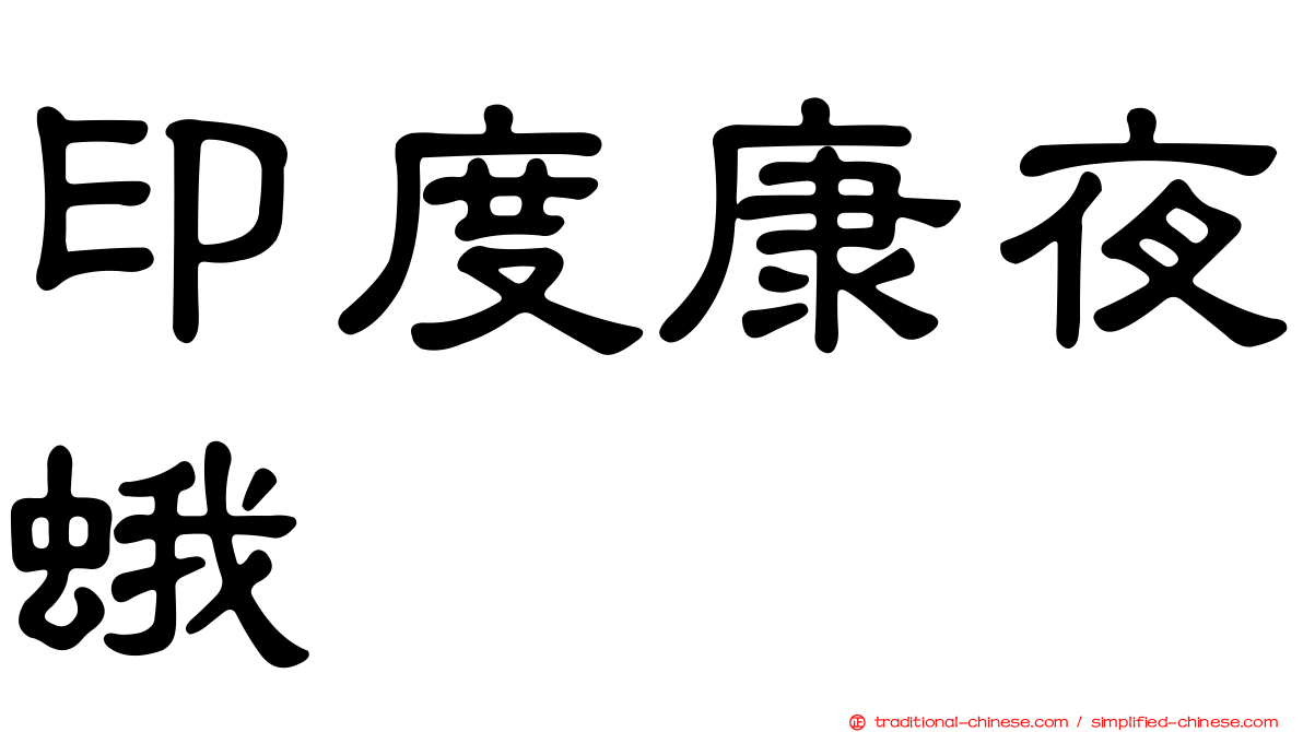 印度康夜蛾