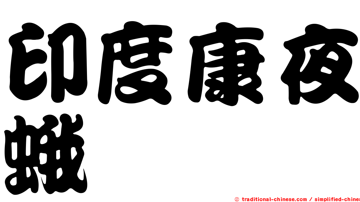印度康夜蛾
