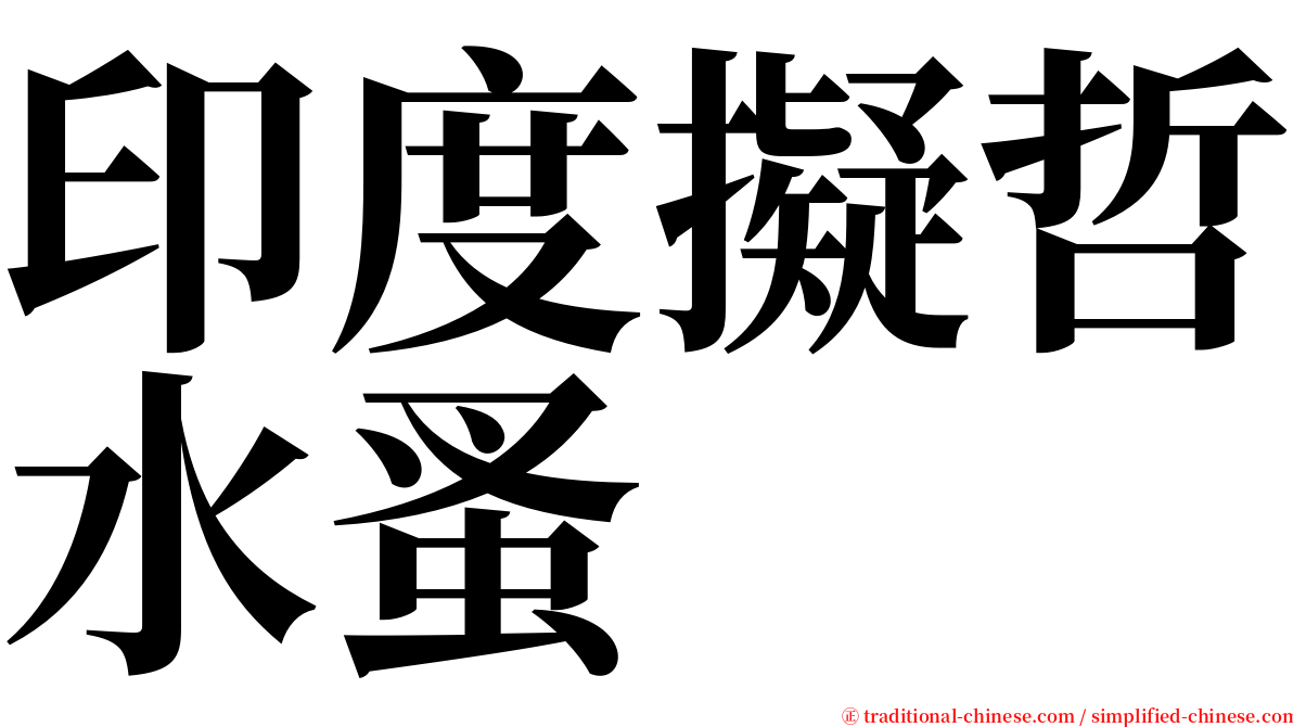 印度擬哲水蚤 serif font