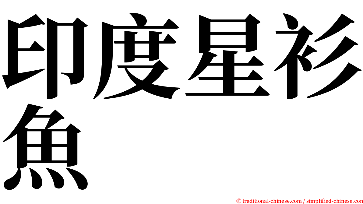 印度星衫魚 serif font