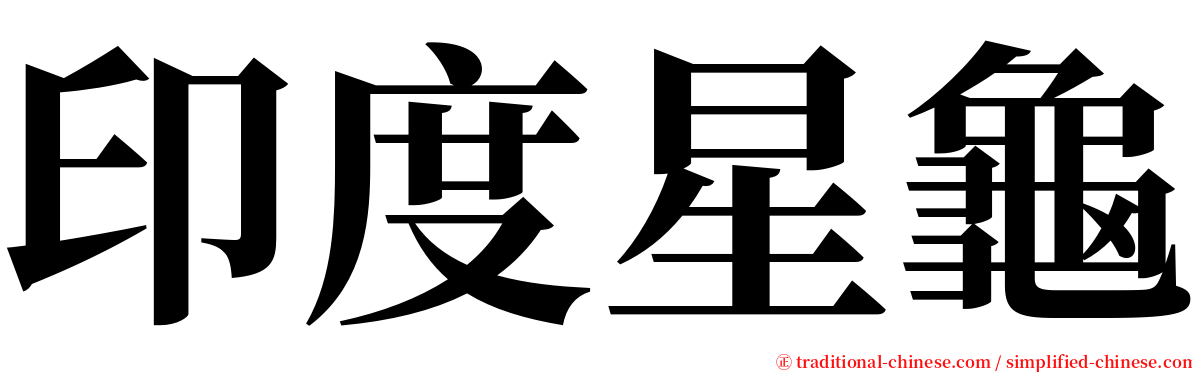 印度星龜 serif font