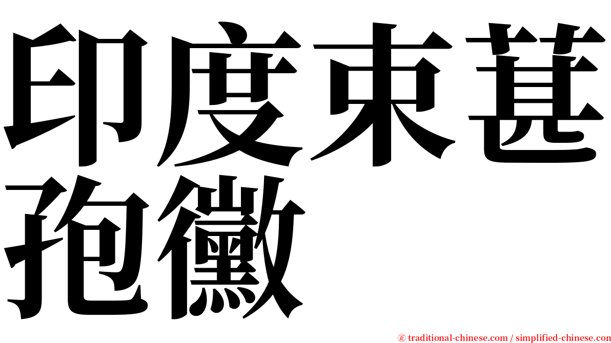 印度束葚孢黴 serif font