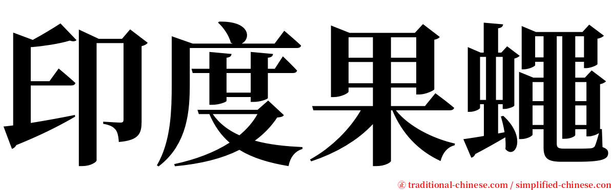 印度果蠅 serif font