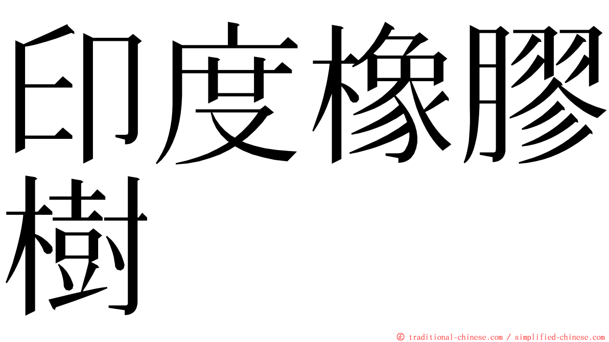 印度橡膠樹 ming font