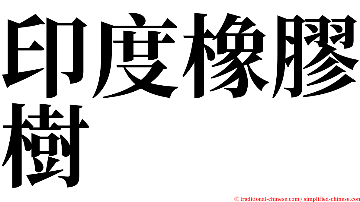 印度橡膠樹 serif font