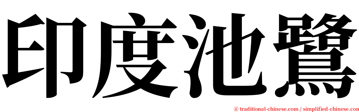 印度池鷺 serif font