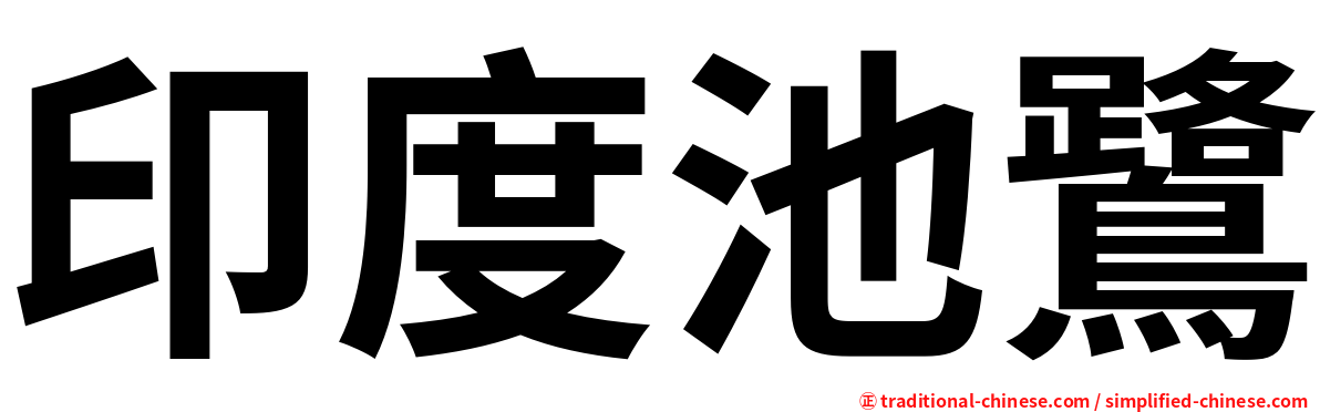 印度池鷺