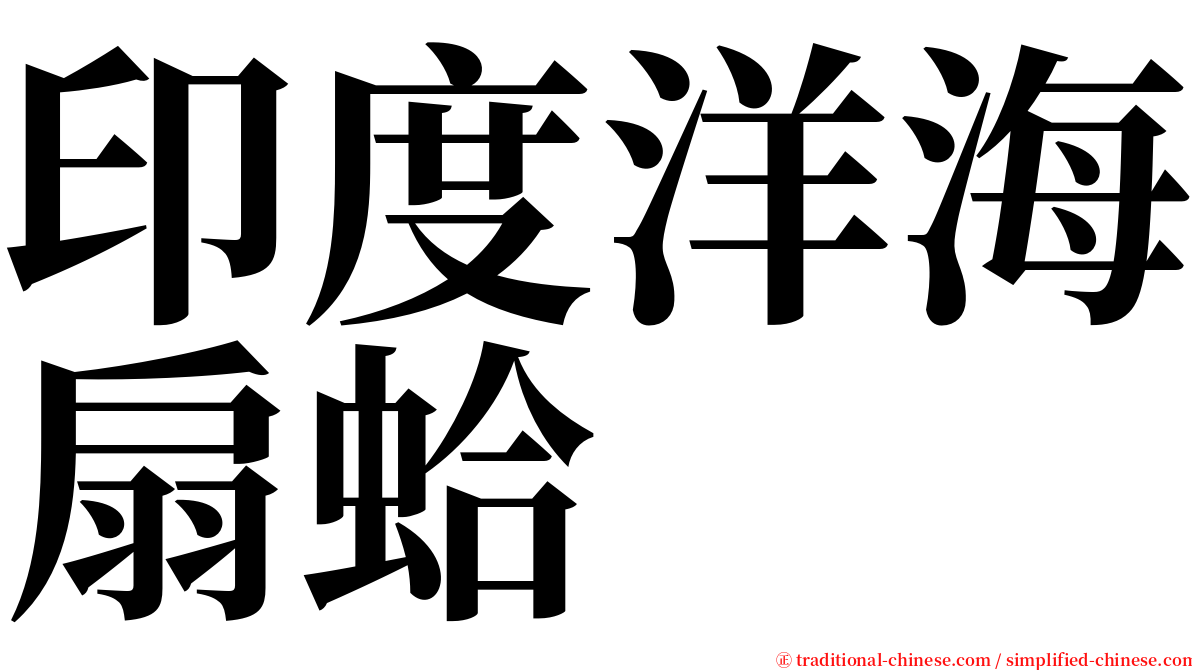 印度洋海扇蛤 serif font