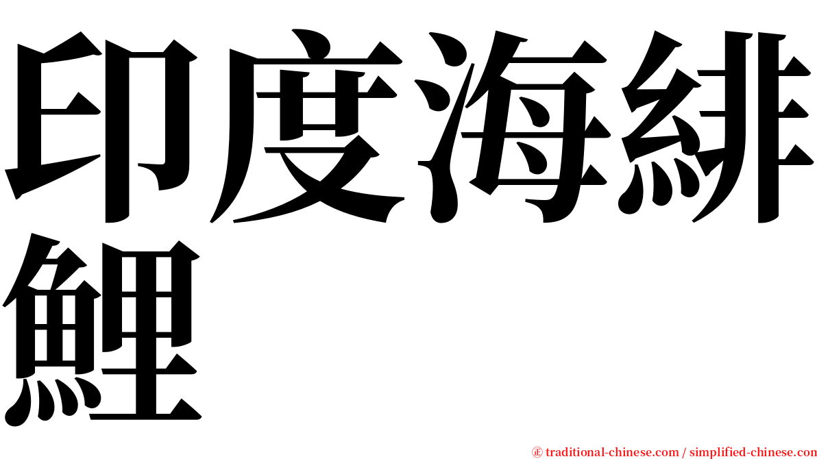 印度海緋鯉 serif font