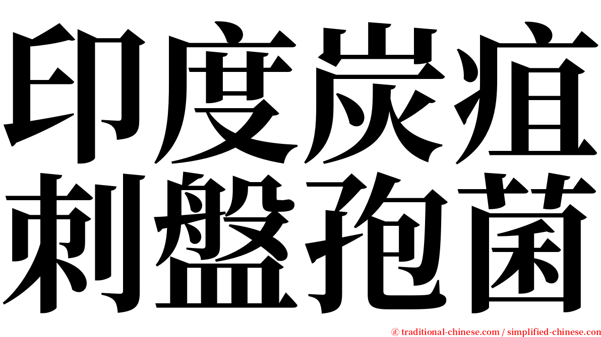 印度炭疽刺盤孢菌 serif font