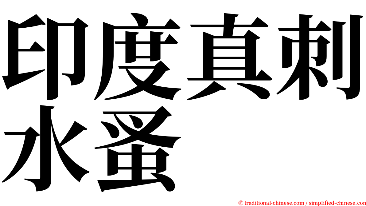 印度真刺水蚤 serif font