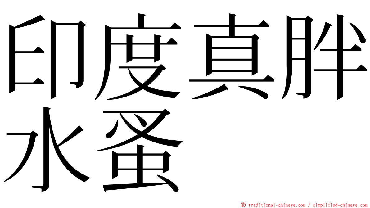 印度真胖水蚤 ming font