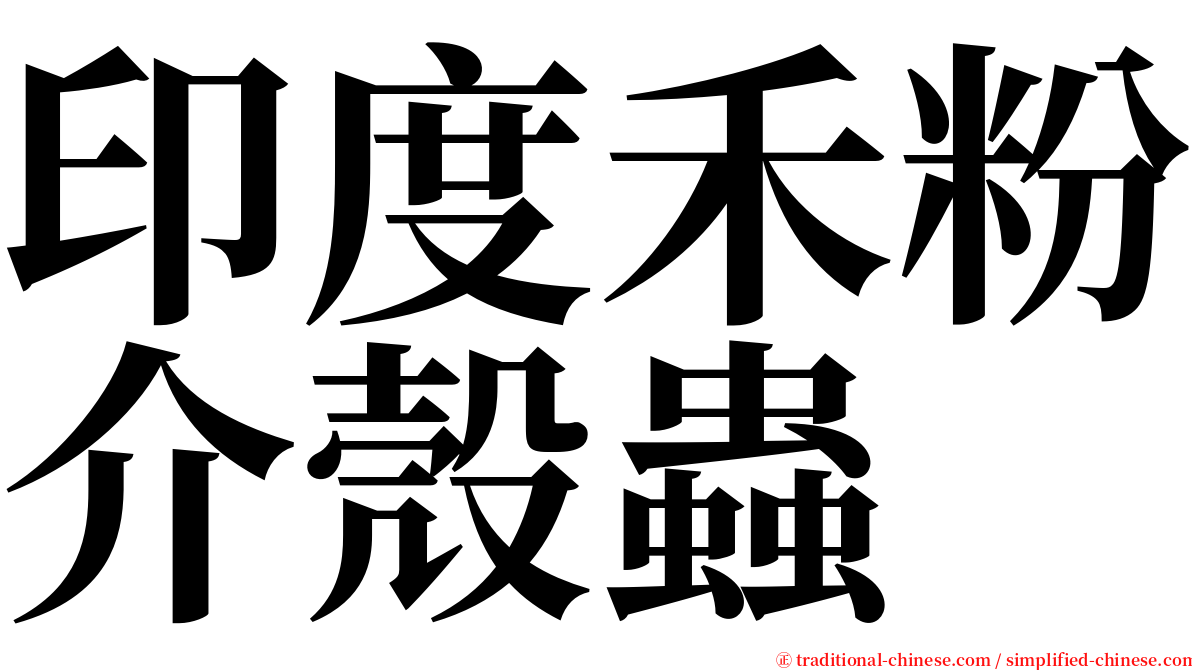 印度禾粉介殼蟲 serif font