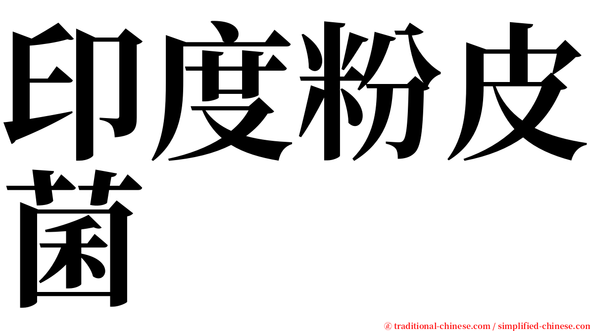 印度粉皮菌 serif font