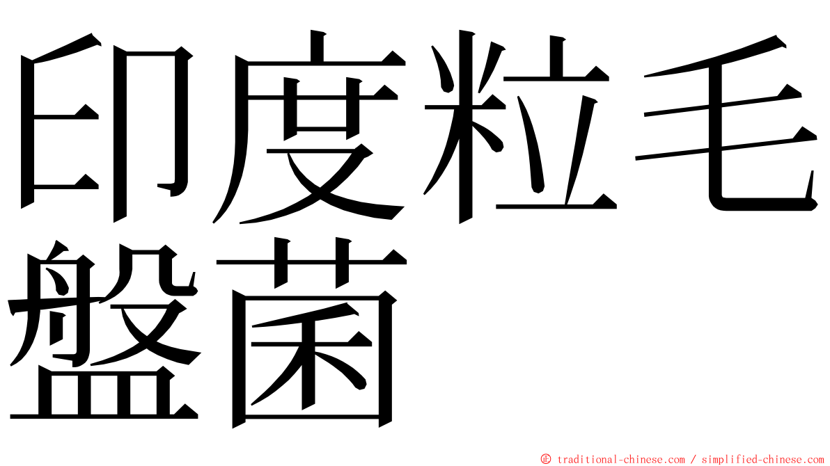 印度粒毛盤菌 ming font