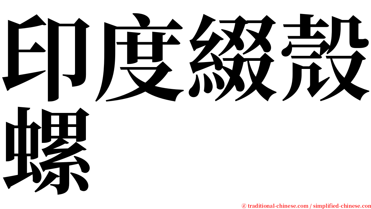 印度綴殼螺 serif font