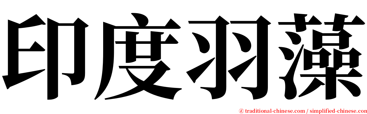 印度羽藻 serif font