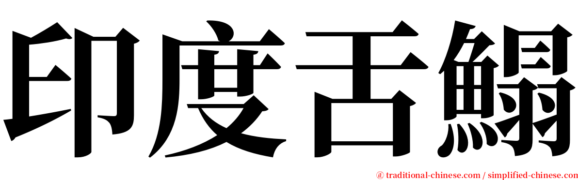 印度舌鰨 serif font