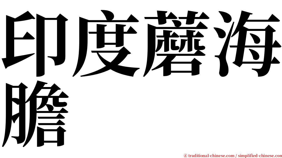 印度蘑海膽 serif font