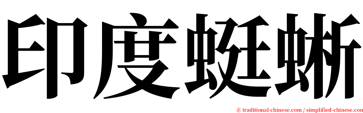 印度蜓蜥 serif font