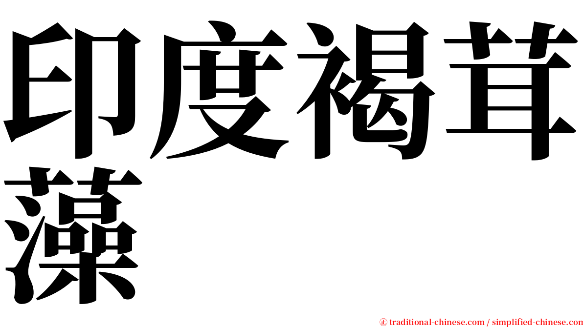 印度褐茸藻 serif font