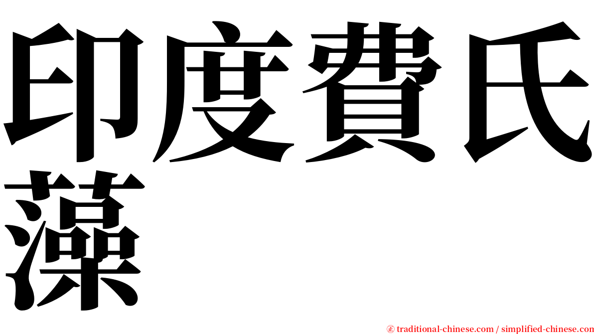 印度費氏藻 serif font