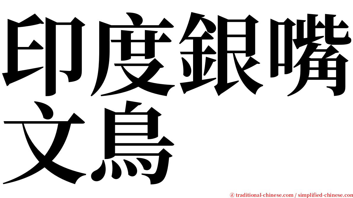 印度銀嘴文鳥 serif font