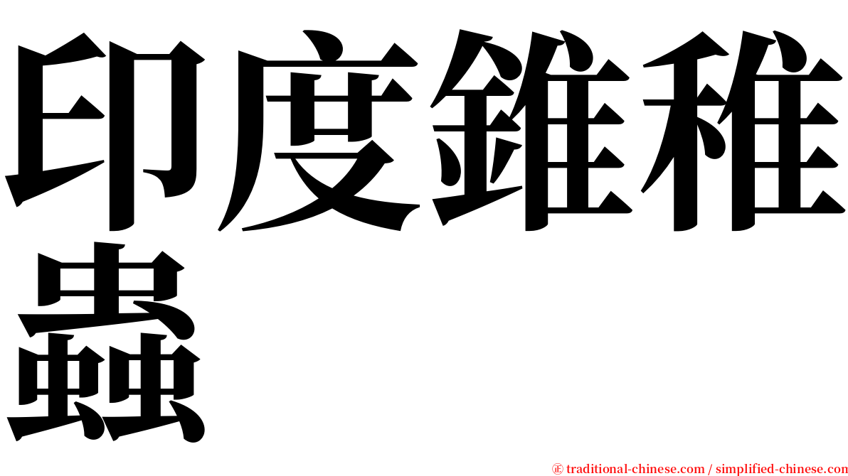 印度錐稚蟲 serif font