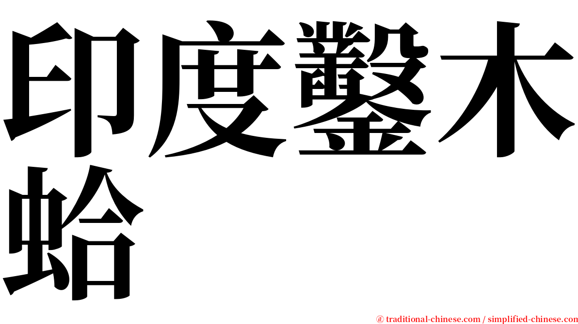 印度鑿木蛤 serif font