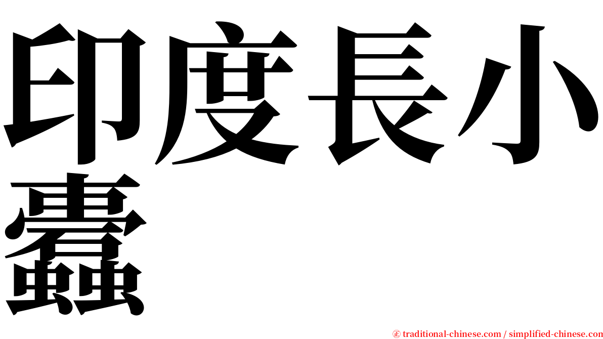 印度長小蠹 serif font