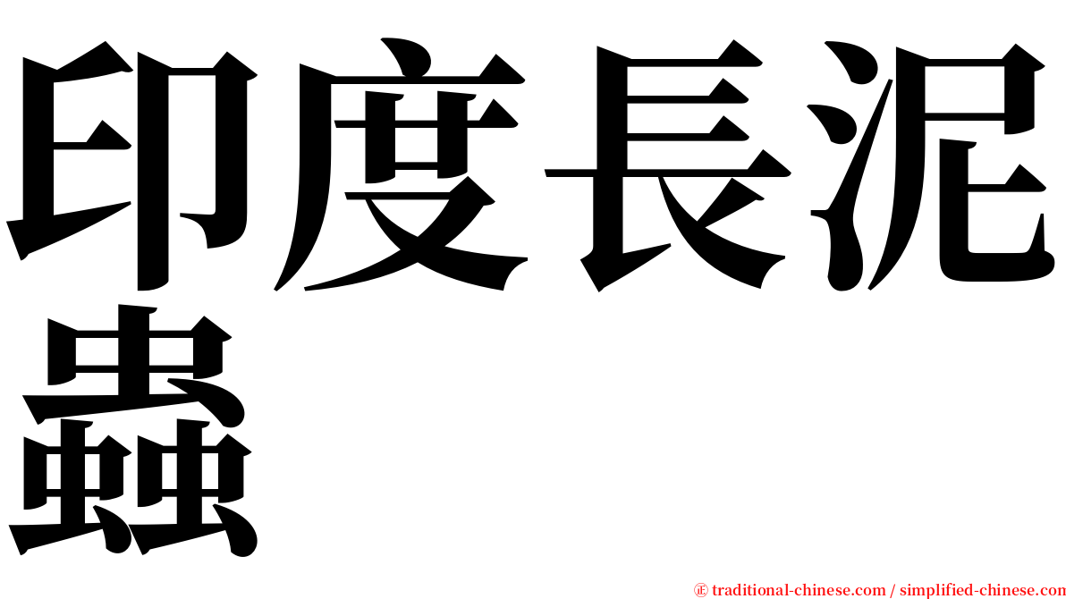 印度長泥蟲 serif font