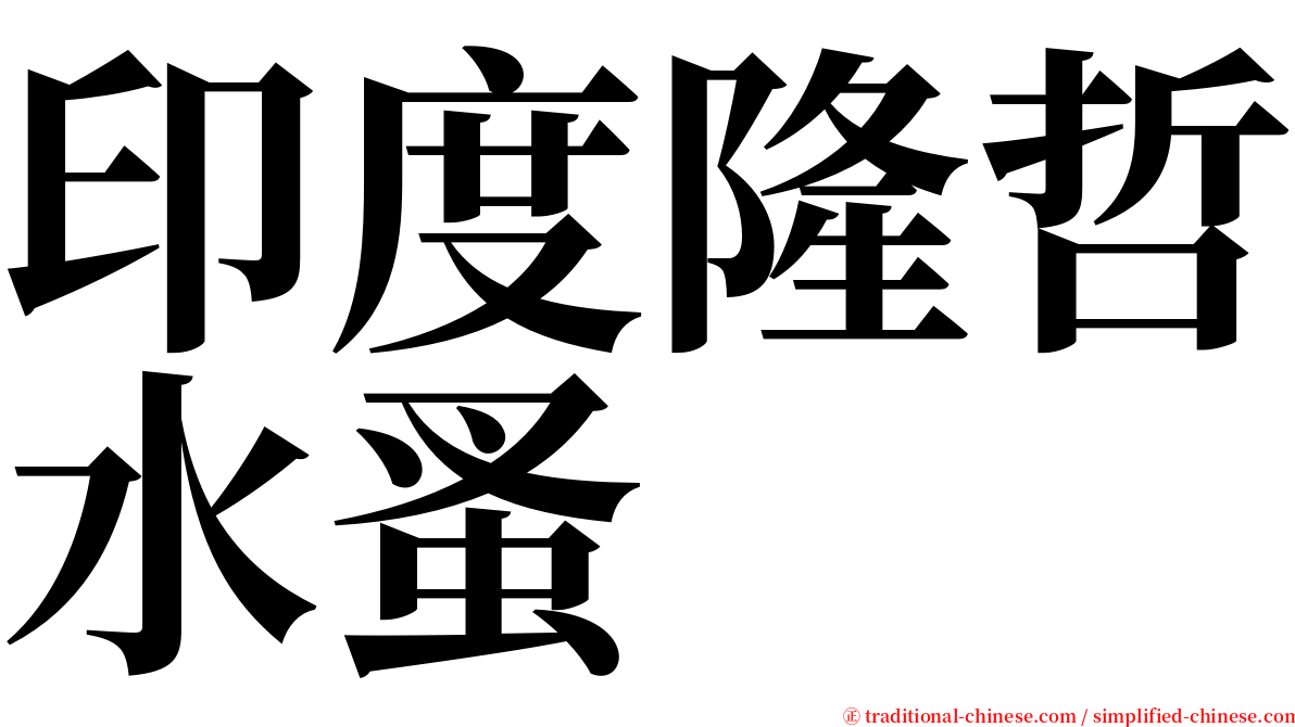 印度隆哲水蚤 serif font