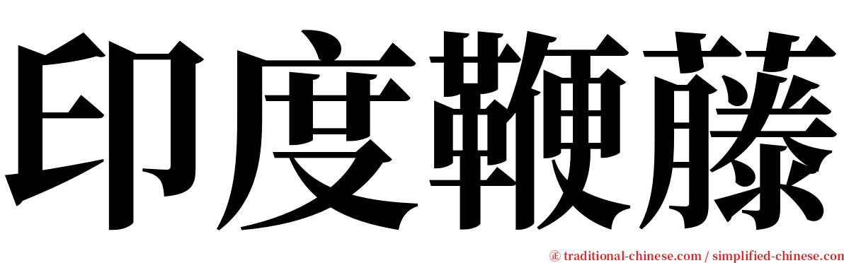 印度鞭藤 serif font