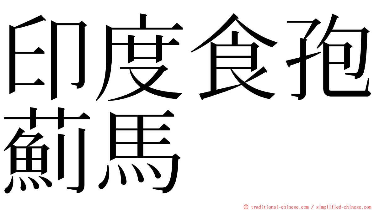 印度食孢薊馬 ming font